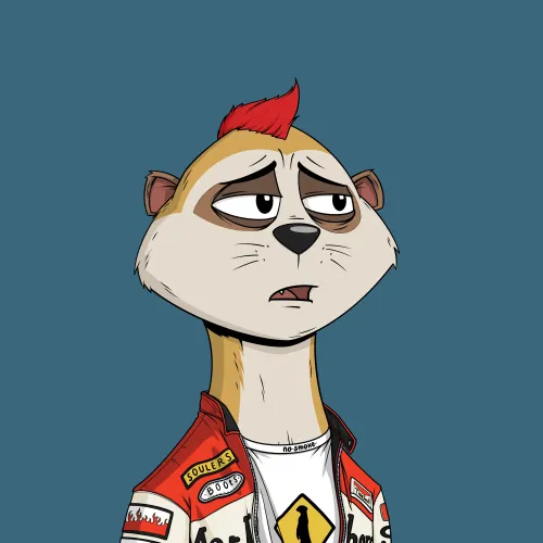 Worried Meerkat #838