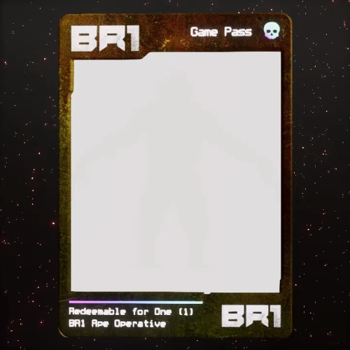 BR1 Character #2257