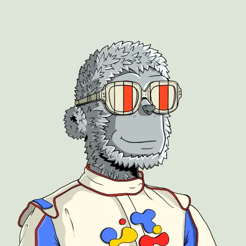 y00t #8230