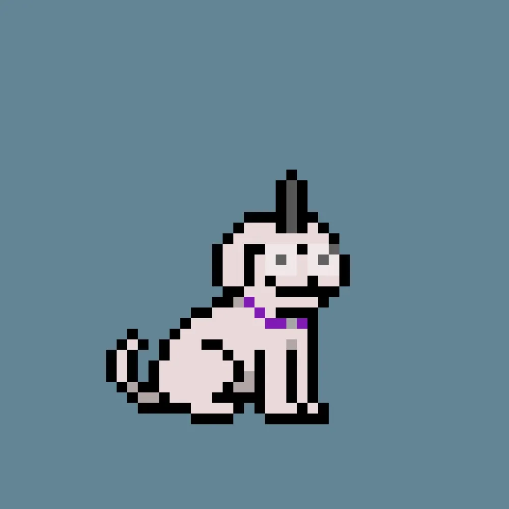 PUPZ #70