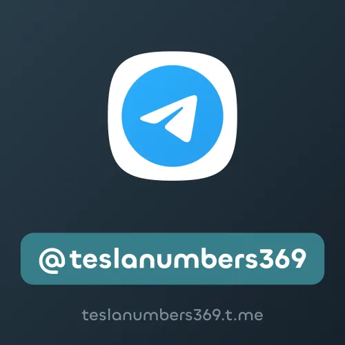 @teslanumbers369