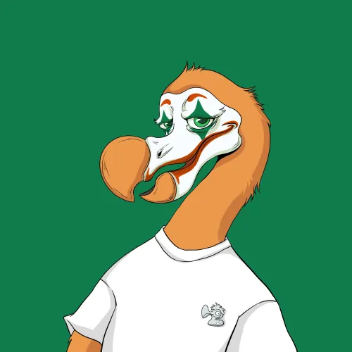 DoDo #9893