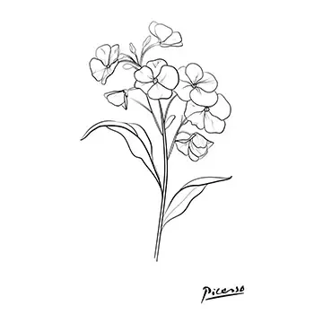 Alyssum Flower  0 #13