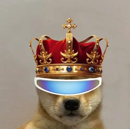 Dogwifhat #399