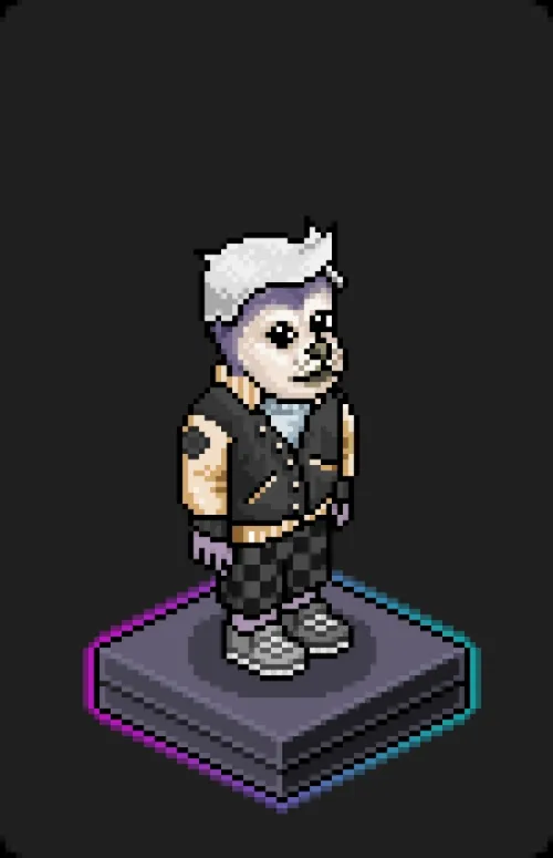 Habbo Crafted Avatar #1839