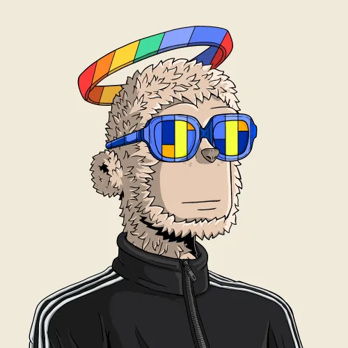 y00t #3574