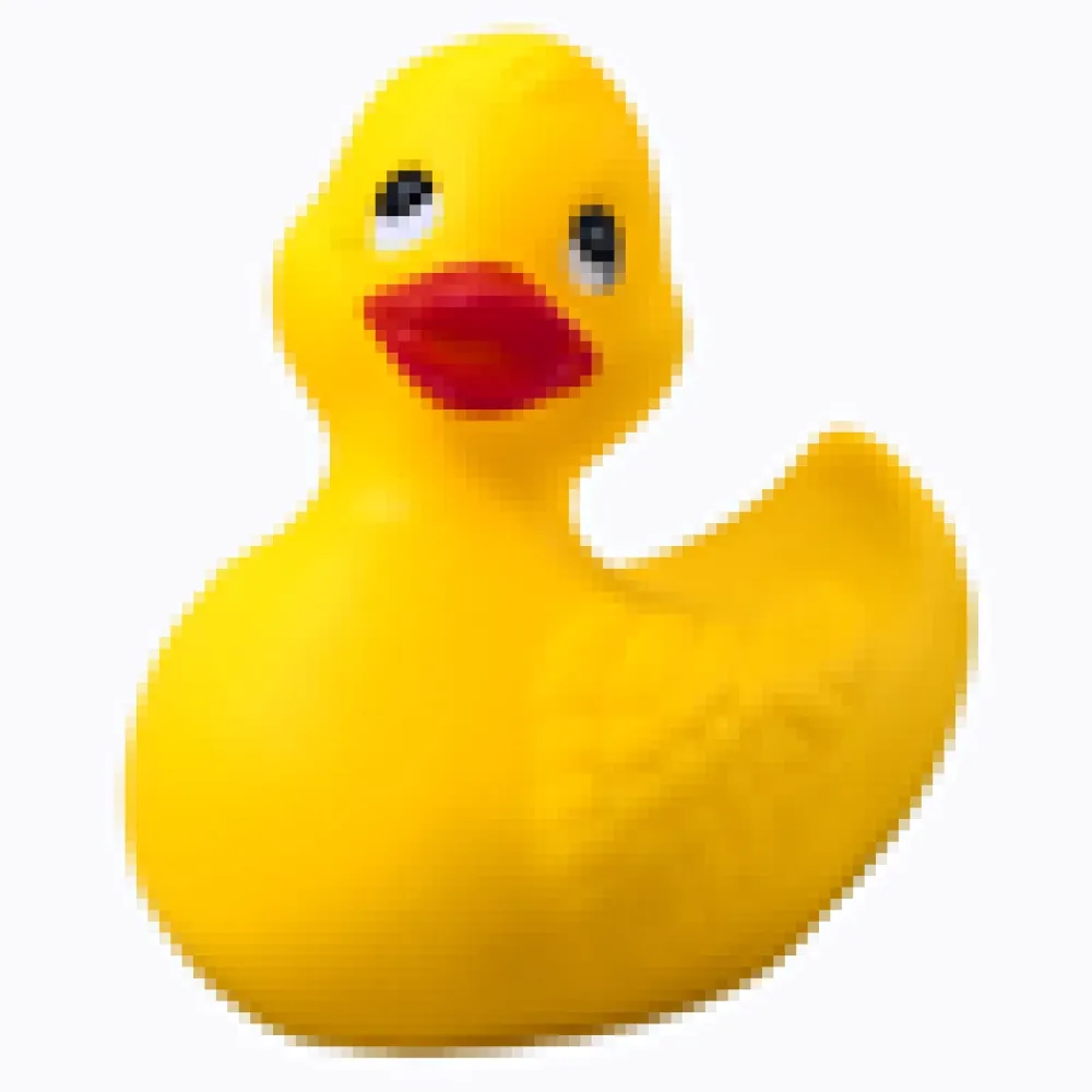DP#000