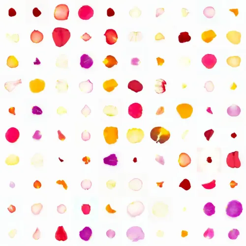 Infinite Petals 10x10#2355