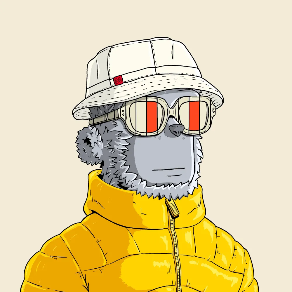 y00t #9555