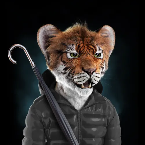 RoyalCub #823