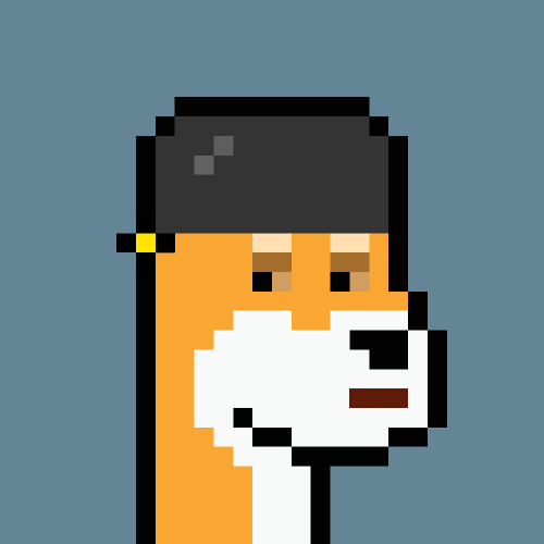 Doge #5799 (Inscription #537953)
