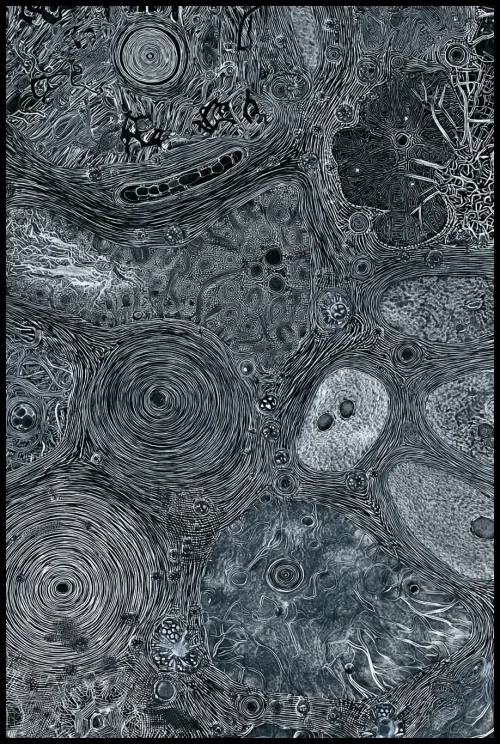 #576