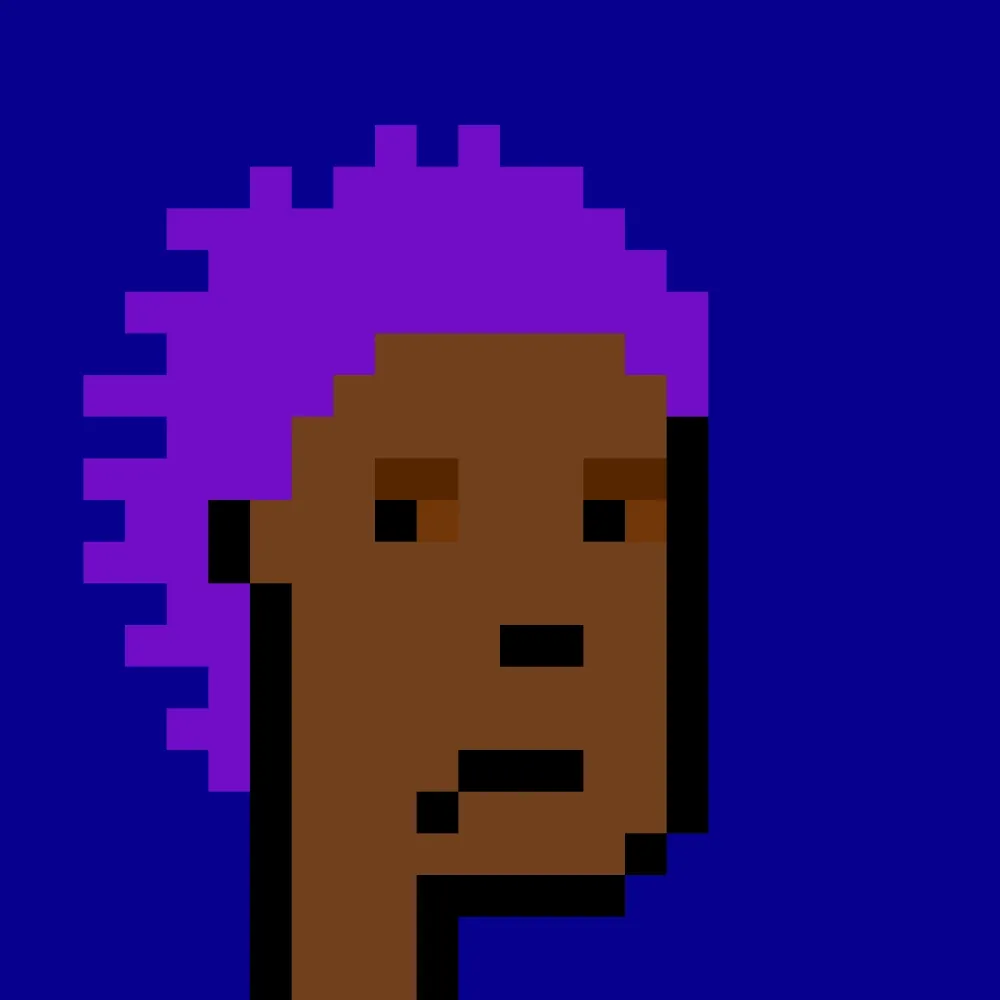 BRC 2.0 PUNK #8312 (#100774777)