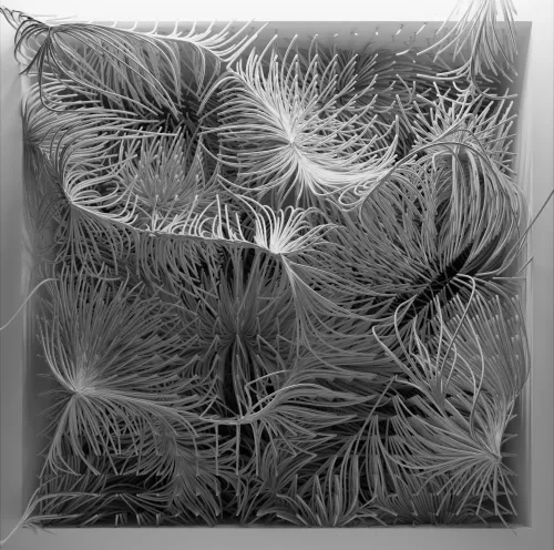 QuantumMemories:NoiseC ＃10214