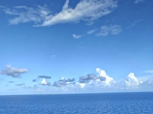 Views #18