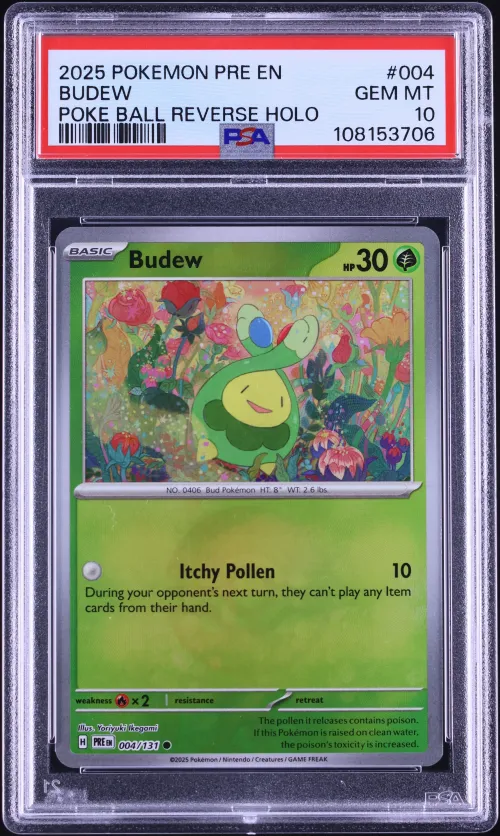 2024 #004 Budew PSA 10 Prismatic