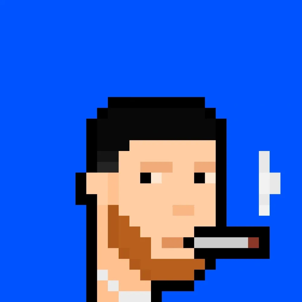 888xPunks #875