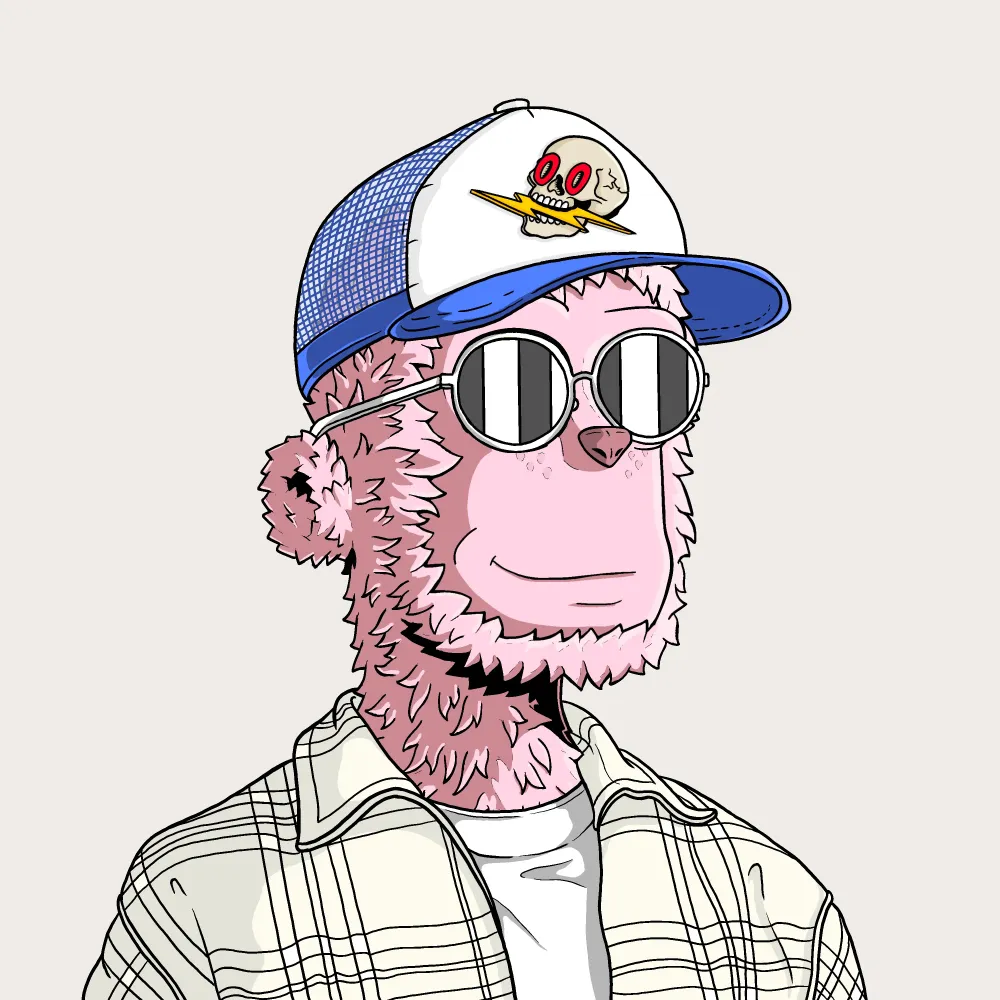 y00t #8237