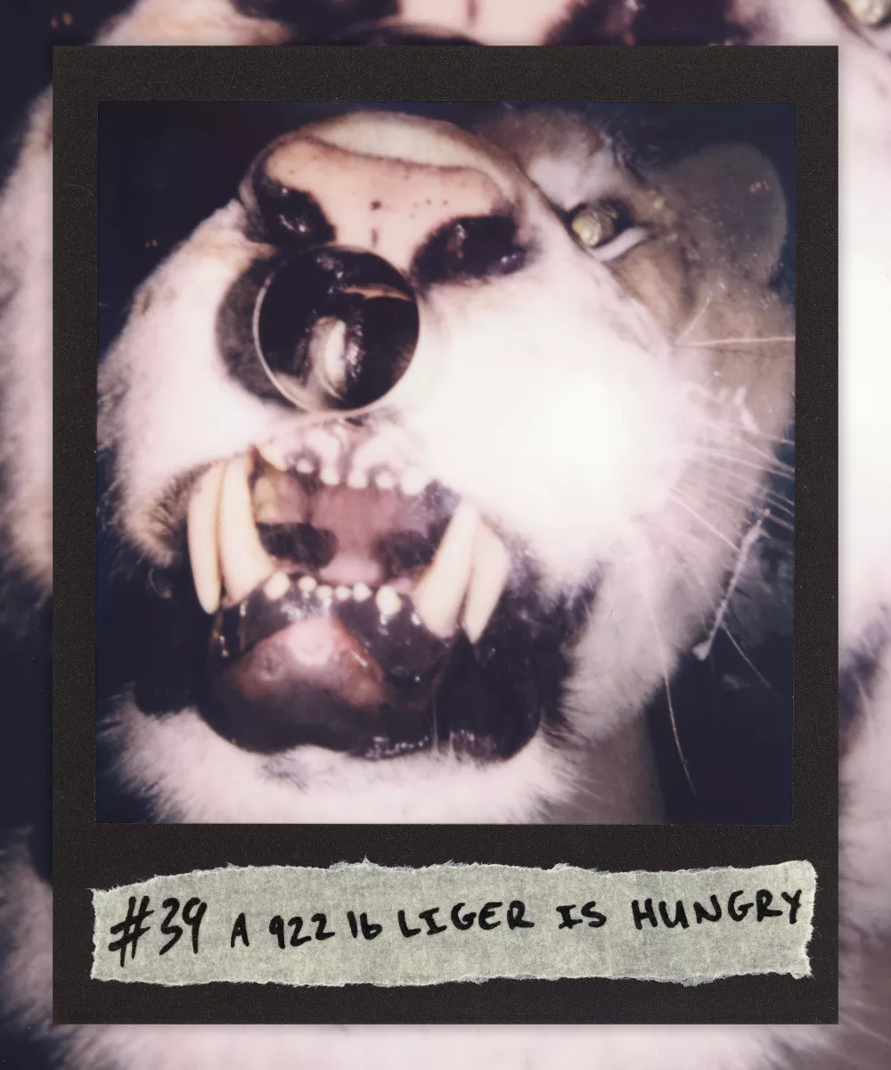  #39