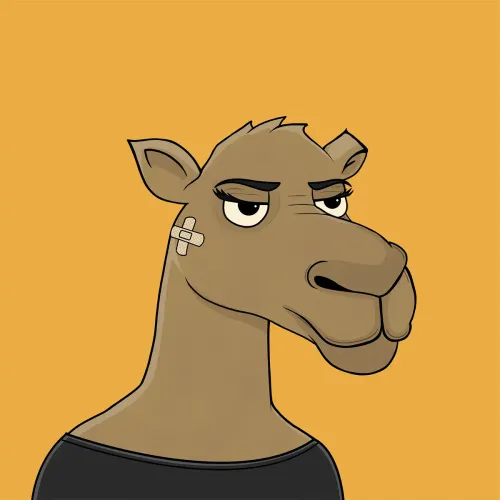 Camel #6118