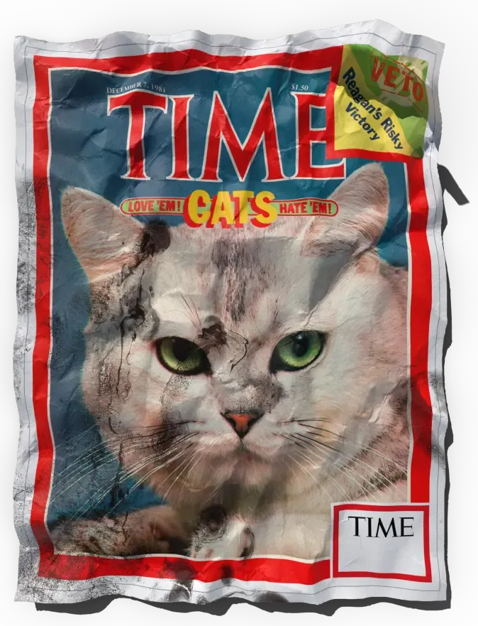 TIME Cats Love 'em! Hate 'em! - December 7th, 1981 #10684