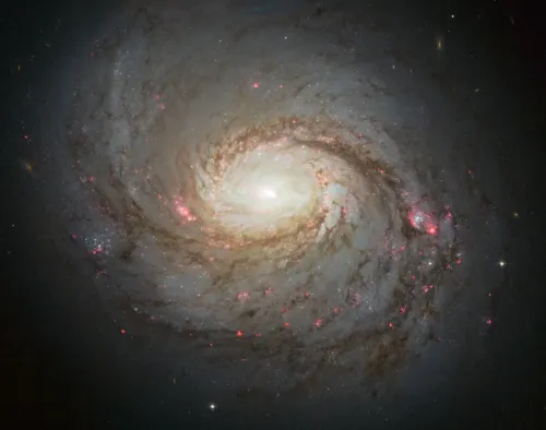 Messier 77 (NGC 1068) #127