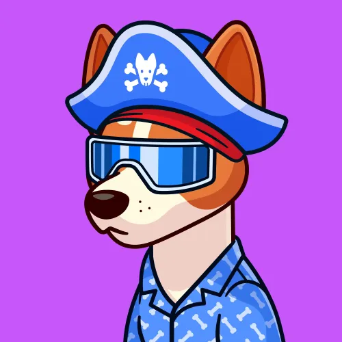 Basenji #2809
