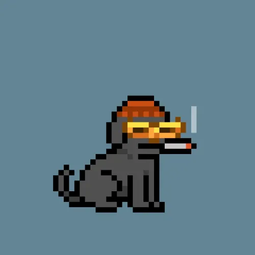 PUPZ #348