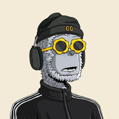 y00t #10052