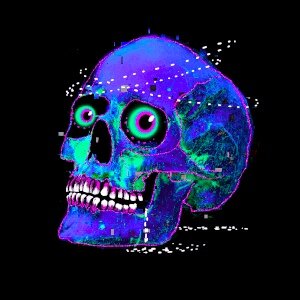 THE SEVENTH SKULL #2667