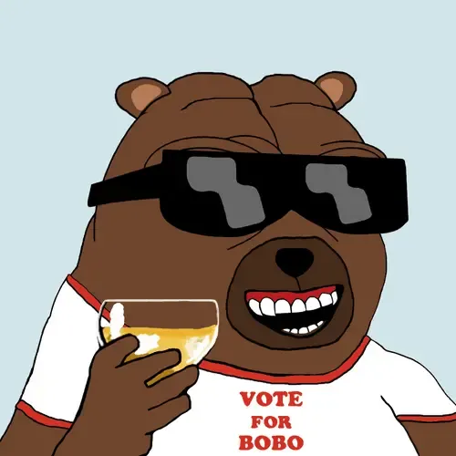 Bobo Council #62