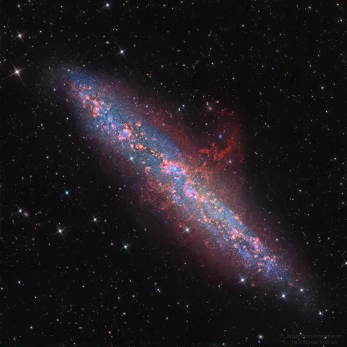 NGC 55 #343