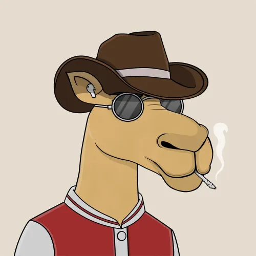 Camel #4207