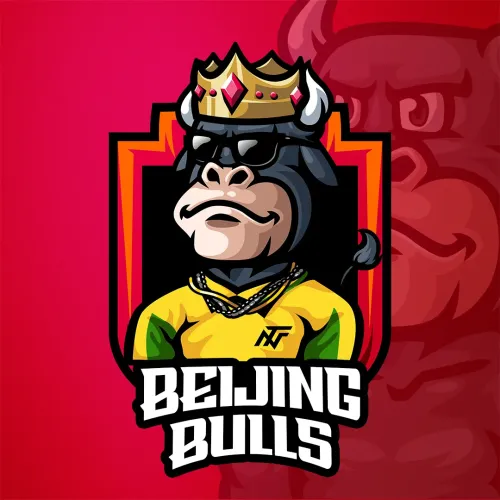 Beijing Bulls ＃8994