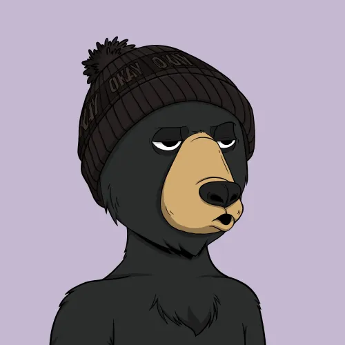Okay Bear #8791