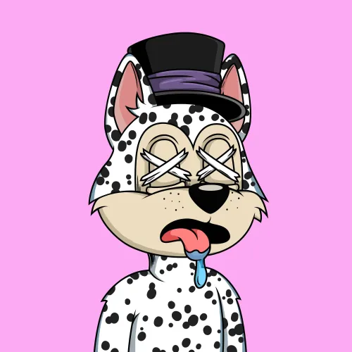Canidae #1596