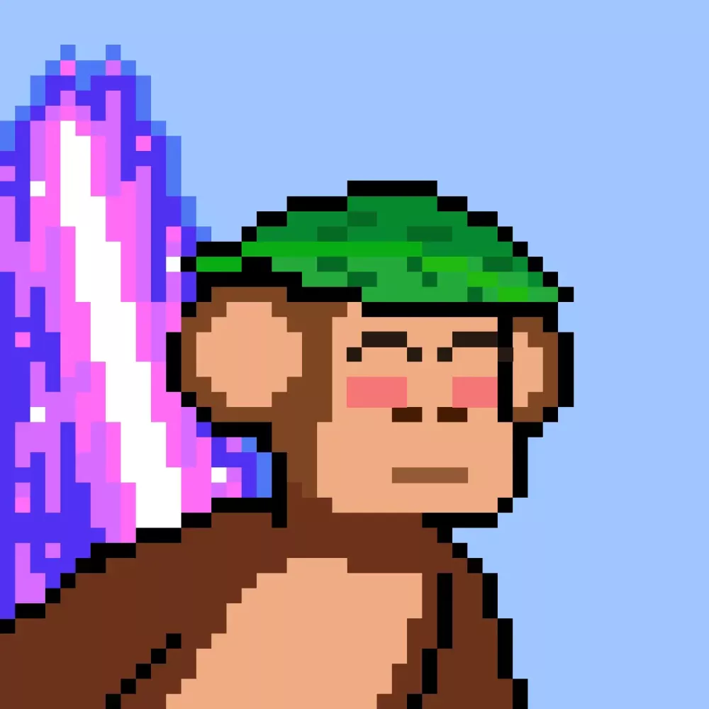 Chimpers #5236