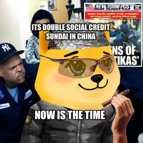 Bonkyo #1235