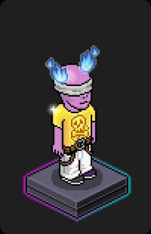 Habbo Crafted Avatar #1104