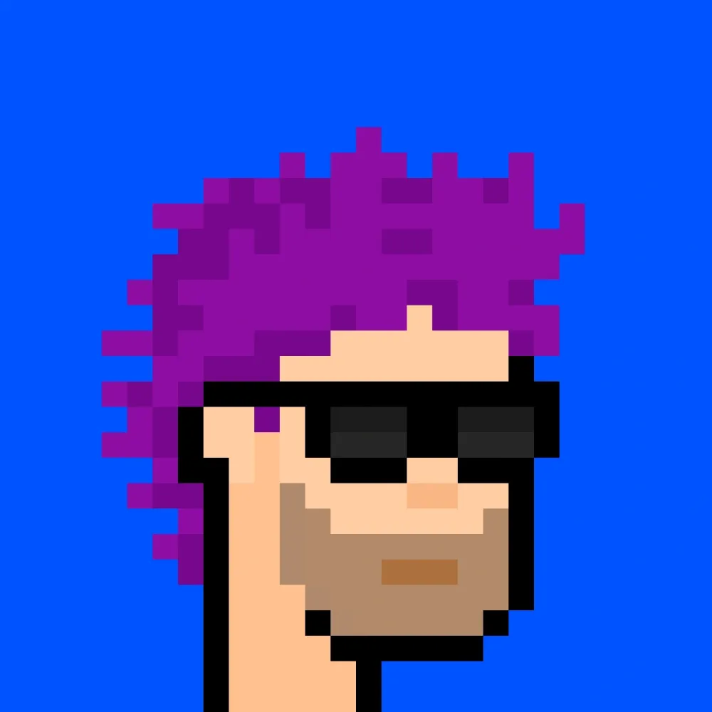 888xPunks #208