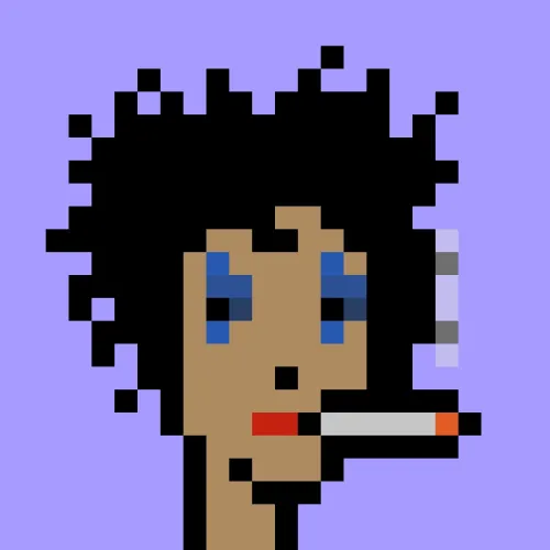 V1 PUNK #5032