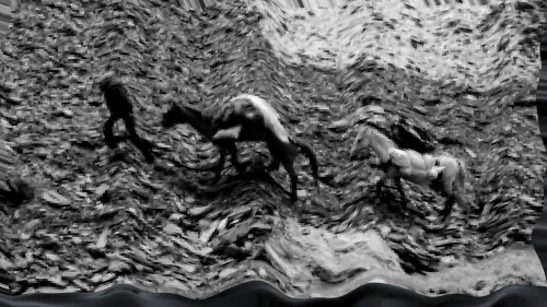 Crypto traderz wavvezc #52089