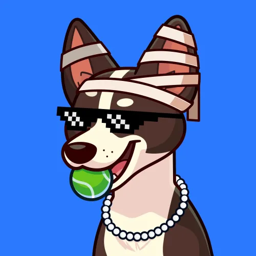 Basenji #1659