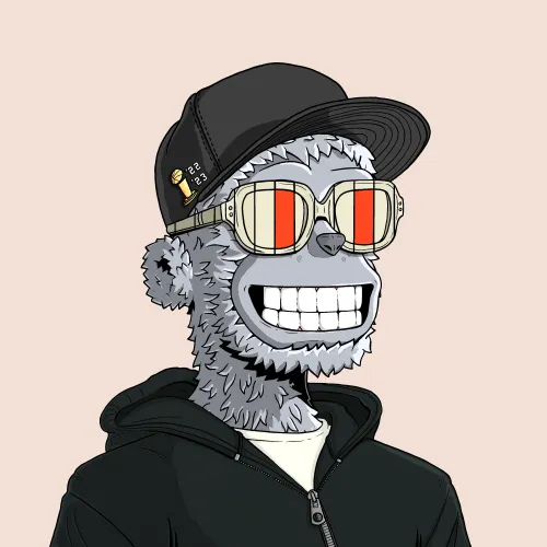 y00t #13340