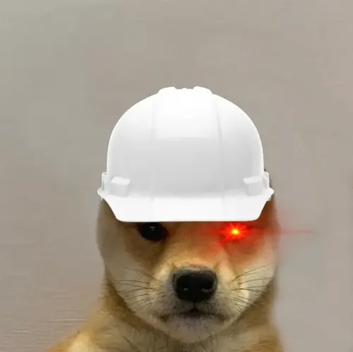 Dogwifhat #403