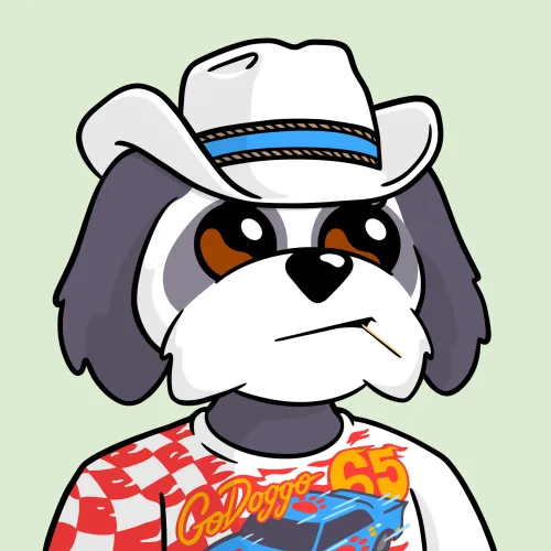 BoDoggos #8080