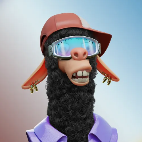 Laid Back Llama #2616