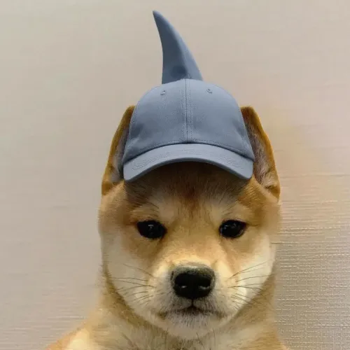 dog #80