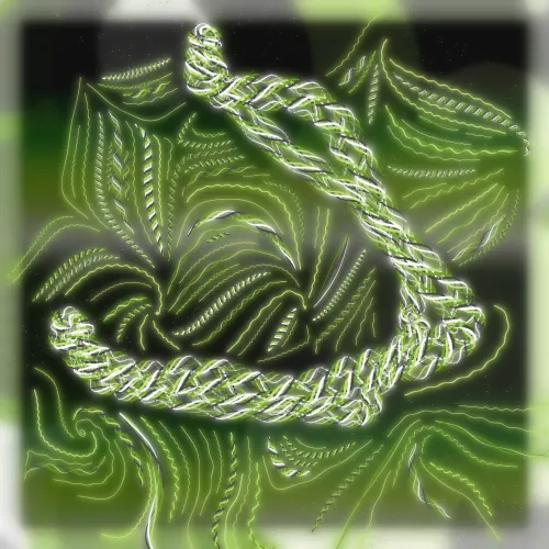 Friendship Bracelets #2593