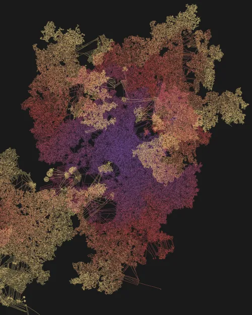 Mycelia #191
